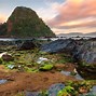 Laut Merah Banyuwangi